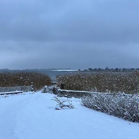 Boddenhuus Mit Steg Und Ruderboot فيلة Zudar